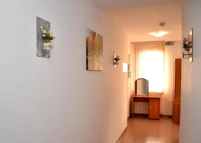 за гости тони и крис Penzion Devin