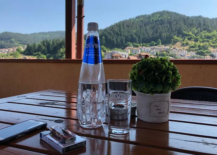 за гости тони и крис Penzion Devin