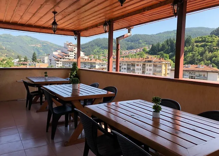 за гости тони и крис 3* Devin