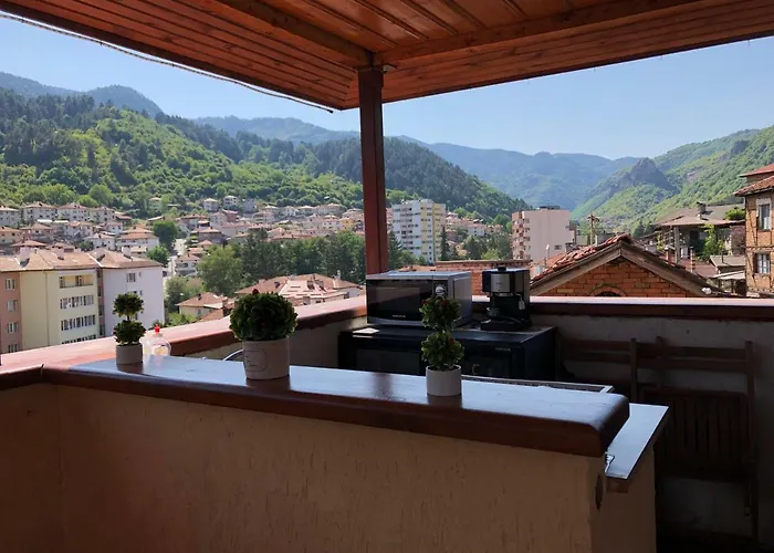 за гости тони и крис 3* Devin